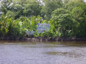 IMGP0005