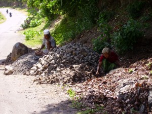 IMGP0427