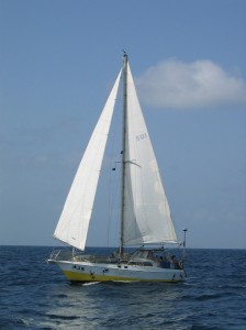 SV Muscat2