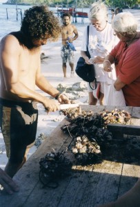 Muscheln preparieren
