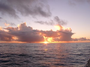 08130002