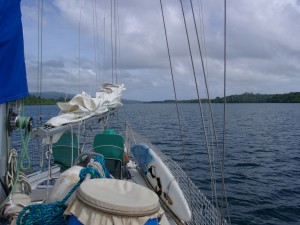 09060003