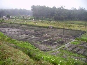 IMGP0089 