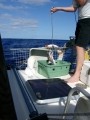 05090002