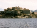 Calvi2