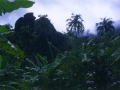Fatu Hiva im Regen2