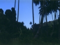 Fatu Hiva