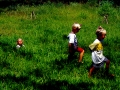 Kinder im gras