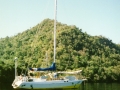Muscat in Scotlandbay