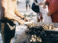 Muscheln preparieren