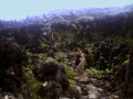 Wandern in Aitutaki1